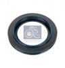 DT 10.10528 Shaft Seal, wheel hub